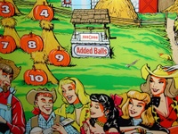 Image # 24641: Hay-Ride Added Ball Counter 
(Serial number HR-1179.)
