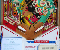 Image # 77023: Hit the Deck Lower Playfield