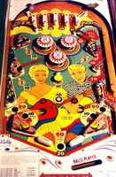 Image # 7338: Hootenanny Playfield