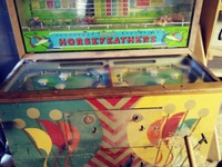 Image # 70270: Horsefeathers Playfield