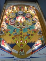 Image # 56351: Hula-Hula Illuminated Playfield