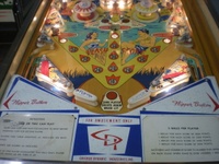 Image # 56353: Hula-Hula Illuminated Lower Playfield
