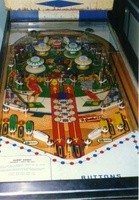 Image # 1193: Hurdy Gurdy Playfield