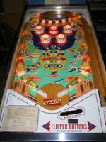 Image # 20241: Ice-Revue Playfield
