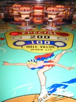 Image # 20244: Ice-Revue Inside Playfield