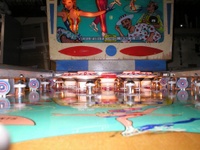 Image # 20245: Ice-Revue Ball View