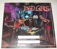 Image # 39559: Bad Girls Translite