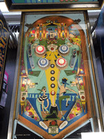 Image # 82905: Jolly Roger Illuminated Playfield