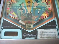 Image # 13384: Jolly Roger Lower Playfield