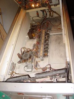 Image # 19976: Jungle Inside Cabinet