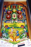 Image # 7293: Jungle Playfield