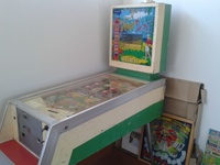 Image # 57398: Jungle Cabinet - Full View 
(The red color of the shelf in front of the coin door is not original to this game.)