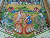 Image # 57403: Jungle Lower Playfield