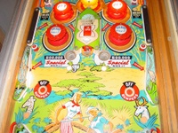 Image # 19972: Jungle Middle Playfield