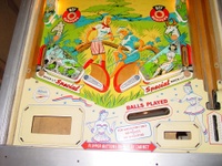 Image # 19973: Jungle Lower Playfield