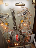 Image # 19975: Jungle Under Playfield