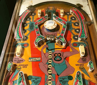 Image # 73256: Jungle Upper Playfield
