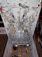 Image # 27622: Jungle King Under Playfield