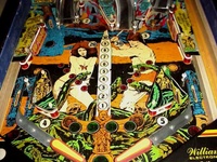Image # 27034: Jungle Lord Lower Playfield