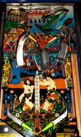 Image # 52664: Jungle Lord Playfield