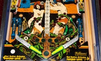 Image # 52667: Jungle Lord Lower Playfield