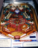 Image # 1268: Jungle Princess Playfield