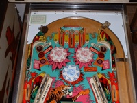 Image # 8394: Jungle Princess Upper Playfield