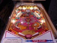 Image # 11751: Jungle Princess Playfield