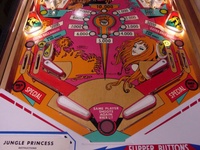 Image # 11753: Jungle Princess Lower Playfield