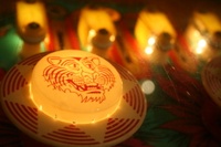 Image # 35072: Jungle Princess Illuminated Pop Bumper