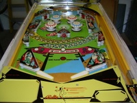Image # 38132: Bali-Hi Playfield 
(Serial number 1012.)