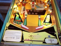 Image # 25362: King Rex Illuminated Lower Playfield 
(Serial number 1155.)