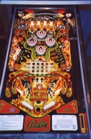 Image # 11989: KISS Plastic Playfield