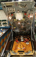 Image # 67596: Krull Lower Level Playfield 
(Serial number 01009E.)