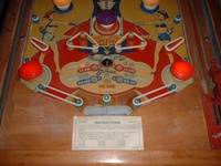 Image # 25211: Lady Robin Hood Lower Playfield