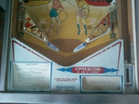 Image # 42176: Lariat Lower Playfield 
(Serial number 06130.)