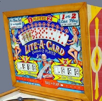 Image # 15061: Lite-A-Card Backbox