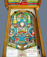 Image # 15062: Lite-A-Card Playfield