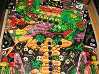 Image # 25653: Pinball Lizard Middle Playfield
