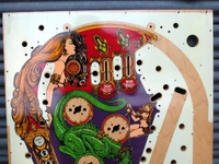 Image # 36688: Lost World Blank Playfield - Upper