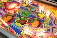 Image # 55494: Lucky Fruit Lower Playfield