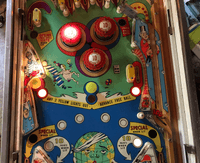 Image # 73670: Mad World Illuminated Middle Playfield
