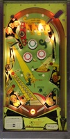 Image # 44739: Bally Hoo Illuminated Playfield