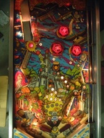 Image # 5352: Magic Castle Illuminated Playfield