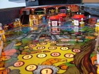 Image # 67189: Magic Castle Playfield