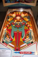 Image # 40419: Magnotron Illuminated Playfield