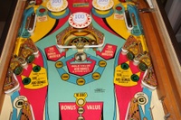 Image # 40421: Magnotron Middle Playfield