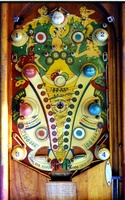 Image # 8030: Mardi Gras Playfield