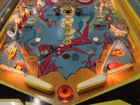 Image # 66556: Mariner Illuminated Lower Playfield