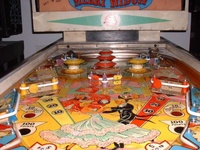 Image # 19675: Merry Widow Playfield